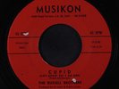 RUSSELL BROTHERS: Cupid / Lifetime Diary 45 (2 sm label tears) rare Oldies