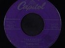 FRANCES FAYE: Summertime / Mad About The Boy 45 rare Soul