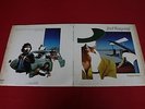 Bad Company / Desolation Angels / P-10490N / JAPAN LP