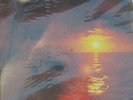 David Crosby Sealed US Audiophile 200g LP If only I could remember my name  