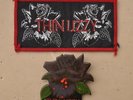 Vintage Thin Lizzy plastic pin & cloth badges  Black Rose rock  music band