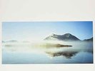 Flying Saucer Attack-Chorus  VINYL NEW