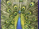 Bluetones The-Expecting To Fly  VINYL NEW