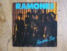 RAMONES - ANIMAL BOY SIGNED  LP - PUNK