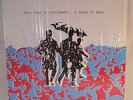 This Kind Of Punishment . A Beard Of Bees 1993 AJAX LP