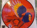 *** David Bowie The Man Who Sold The World RSD 2016 Picture Disc ***