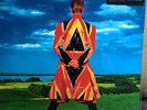 David Bowie Earthling 180g LP/Vinyl Pressung 2013 NEU