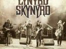 Lynyrd Skynyrd-Sweet Home Alabama  Vinyl / 12