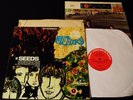 The Seeds-Future-ORIGINAL 1967 1A PSYCH LP-CLEAN w/Both Inserts