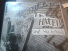 The Hated - What Was Behind LP rare oop Rites Of Spring Ida Born Against Fugazi