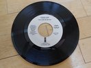 TOOTS AND THE MAYTALS 