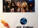 GUNS N' ROSES .44 Caliber Horticulture, 2 LP Vinyl Set  RARE 1987  Excellent