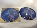 MADONNA *EROTICA* VERY RARE UNOFFICIAL 12 INCH PICTURE DISC