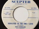 VG++ DOO WOP 45 / THE SHIRELLES / DEDICATED TO THE ONE I LOVE / SCEPTER 1201