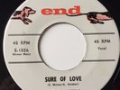 NM- DOO WOP 45 / THE CHANTELS / SURE OF LOVE / PRAYEE / END 1026