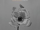 THE NAKED AND FAMOUS - IN ROLLING WAVES NEW VINYL