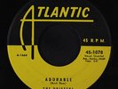 DRIFTERS: Adorable / Steamboat 45 Vocal Groups