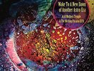 ACID MOTHERS TEMPLE / MELTING PARAISO U.F.O.-WAKE TO THE NEW DAWN OF..-VINY NEU