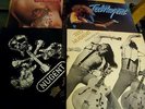 MULTIPLE TED NUGENT VINYL LP 12
