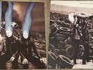 Third Man Records Vault 25 LP Only- The Dead Weather Dodge and Burn