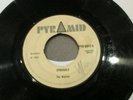 THE MAYTALS-STRUGGLE.VINYL 7
