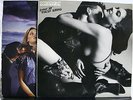 VINYL RECORD 2 SCORPIONS ANIMAL MAGNETISM LOVE AT FIRST STING