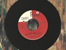 The Free Design Never Tell The World You Be Sushine Pop Project 45 Record VG+