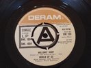 WORLD OF OZ -WILLOWS' HARP rare UK 1969 DEMO PROMO / PSYCH / RUBBLE /DERAM MINT-