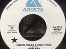 RARE - The Outlaws - Green Grass & High Tides Arista WLP PROMO 45