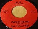 NATURAL HIGH – JEWEL OF THE SEA Hawaii Hawaiian 45 rpm RARE