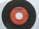 Don Gardner - Cheating Kind - Northern Soul 45