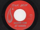 '60s Txs SOUL/ R&B JAY RICHARDS Sneaking Home/I Want You To Know TEAR DROP HEAR