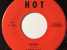 M- ORIGINAL ROCKABILLY 45 / LARRY HALL / SANDY / LOVIN' TREE / HOT 1 / STAMPED