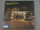 BLOSSOMS - Vinyl LP FULLY SIGNED ltd. numbered, still sealed