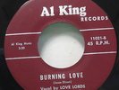Rare Doo Wop Soul 45 Love Lords Burning Love Simmer Fast Al King 11021 Scarce