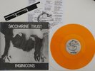 SACCHARINE TRUST Paganicons LP black flag.slovenly.minutemen RARE ORANGE VINYL