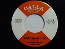 Frankie And The Classicals - What Shall I Do   VG++/M-   1966