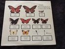 THE JAM # 2 x VINYL LP SET - BUTTERFLY COLLECTOR - MATT SLEEVE - WELLER CLASH