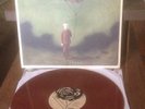 Hidden In Plain View Vinyl LP Life In Dreaming Bronze Rose 500 New Saves The Day
