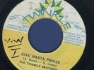 1821 TWINKLE BROTHERS-GIVE RASTA PRAISE-TWINKLE- REGGAE 45 7