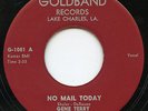 HEAR - Rare Rockabilly 45 - Gene Terry & Down Beats - No Mail Today - Goldband