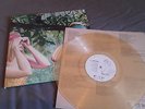 Walter Schreifels LP wie Gorilla Biscuits Rancid Agnostic Front Warzone