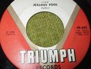 BOBBY COMSTOCK & the Counts Zig Zag/Jealous Fool Rockabilly 45 EX