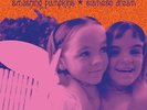The Smashing Pumpkins Siamese Dream New Vinyl LP