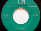 LIN 5018 Don Terry orig Rockabilly 45 Mint Minus Knees Shakin'