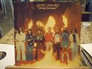 Lynyrd Skynyrd-STREET SURVIVORS-LP-MCA 0062.095-German-1977-Laminated Cover=NM