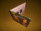 Renaissance Vinyl Ashes are burning U K Original F O C