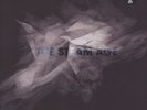 Solyst - Steam Age (Vinyl LP+CD - 2016 - EU - Original)