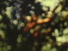 PINK FLOYD - Obscured By Clouds (2016 REISSUE) VINYL LP NEW (23RD SEPT)