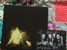 Wolf Alice My Love Is Cool Double Gatefold Gold Coloured Vinyl With Signed Photo
